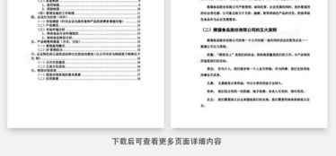 食品公司營銷策劃書Word模板下載指南